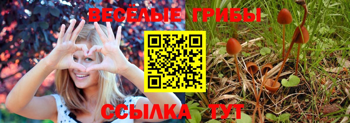 Горячий Ключ  Галлюциногенные грибы Psilocybine cubensis  Вход с VPN 