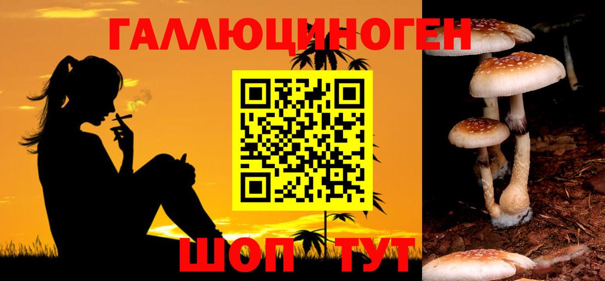 Галлюциногенные грибы ЛСД Горячий Ключ